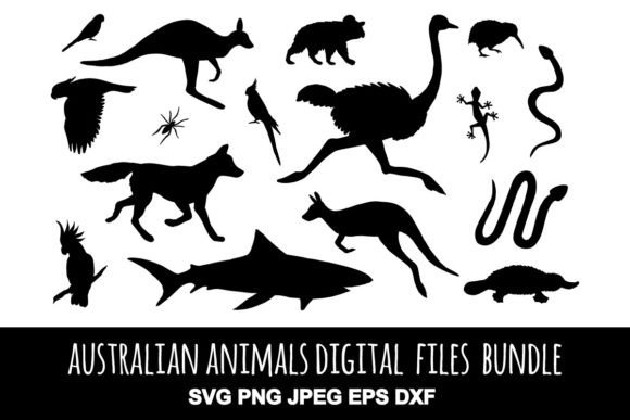 Australia Animals SVG: A Designer's Embroidery Review