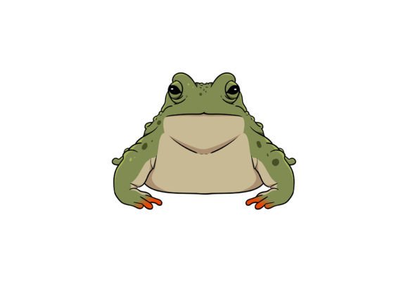 Frog Drawing Illustration: Graphics for Branding