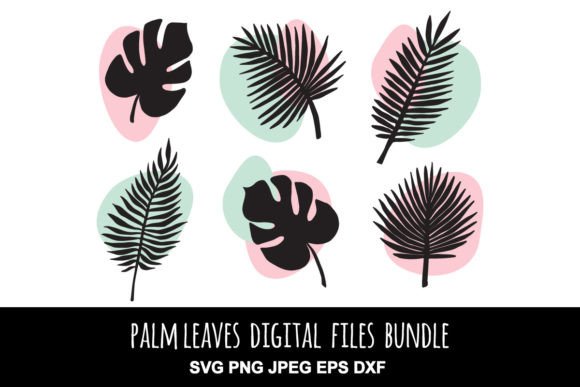 Palm Leaves Set: Graphics & Illustrations Review