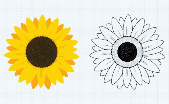 Sunflower Coloring Page: A Designer's Embroidery Review